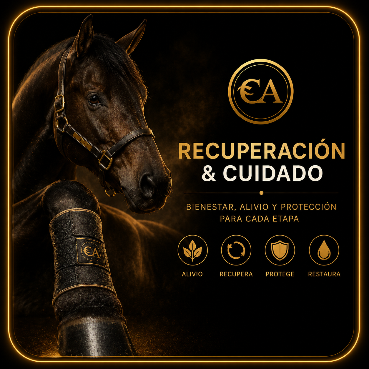 Recovery & Care