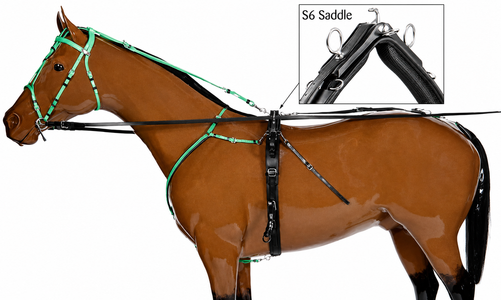 Race harness short Set
