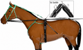 Race harness short Set