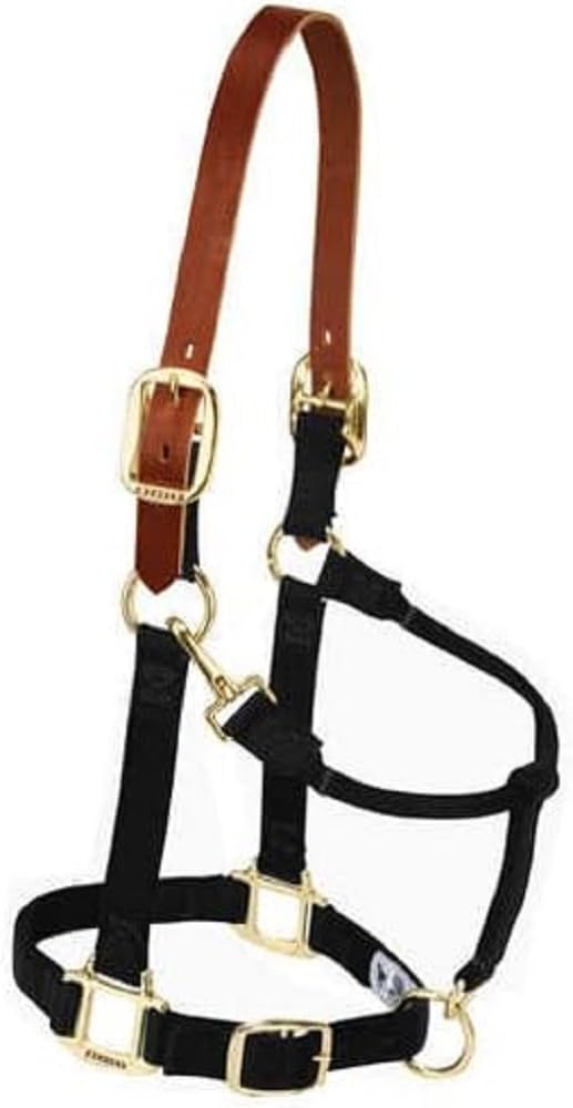 Weaver Equine Breakaway Horse Halter, Supple Leather Crown, Adjustable Brass Throat Snap Halters for Horses, Equine Tack