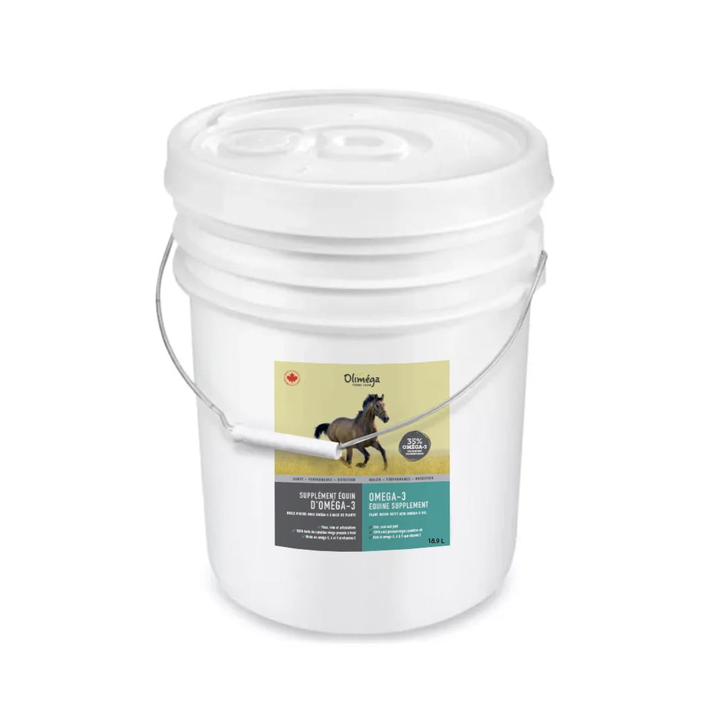 Camelina Oil for Horses, 1 Gallon by Olimega Farm | High in Omega-3 & Vitamin E | Support for Healthy Joints, Coat & Skin | Pure & Cold Pressed | Joint Supplement | Made in Canada | Non-GMO