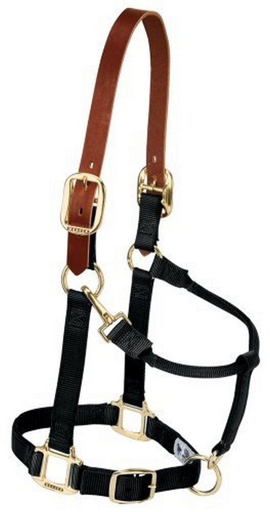 Weaver Equine Breakaway Horse Halter, Supple Leather Crown, Adjustable Brass Throat Snap Halters for Horses, Equine Tack