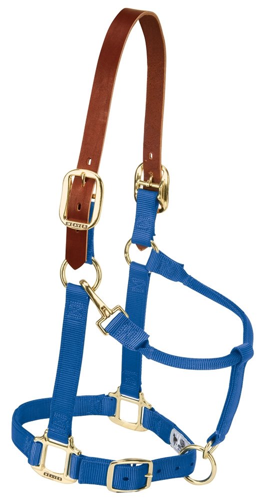 Weaver Equine Breakaway Horse Halter, Supple Leather Crown, Adjustable Brass Throat Snap Halters for Horses, Equine Tack