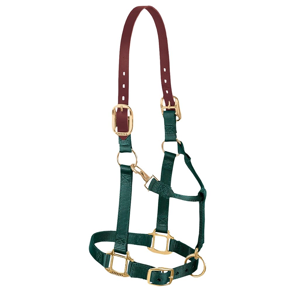 Weaver Equine Breakaway Horse Halter, Supple Leather Crown, Adjustable Brass Throat Snap Halters for Horses, Equine Tack
