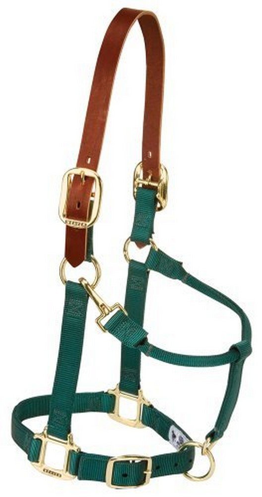Weaver Equine Breakaway Horse Halter, Supple Leather Crown, Adjustable Brass Throat Snap Halters for Horses, Equine Tack