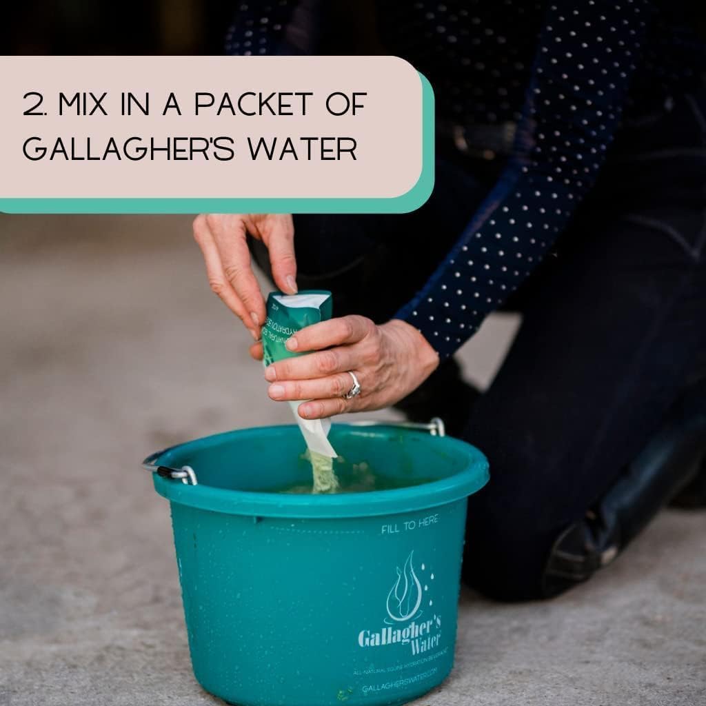GALLAGHER'S WATER Paquete de 2, Golosina de Hidratación Equina Totalmente Natural - Mezcla de Polvo Potenciador, Golosina para Caballos para Fomentar el Consumo de Agua - Hecha con Ingredientes Totalmente Naturales, Conforme a la FEI