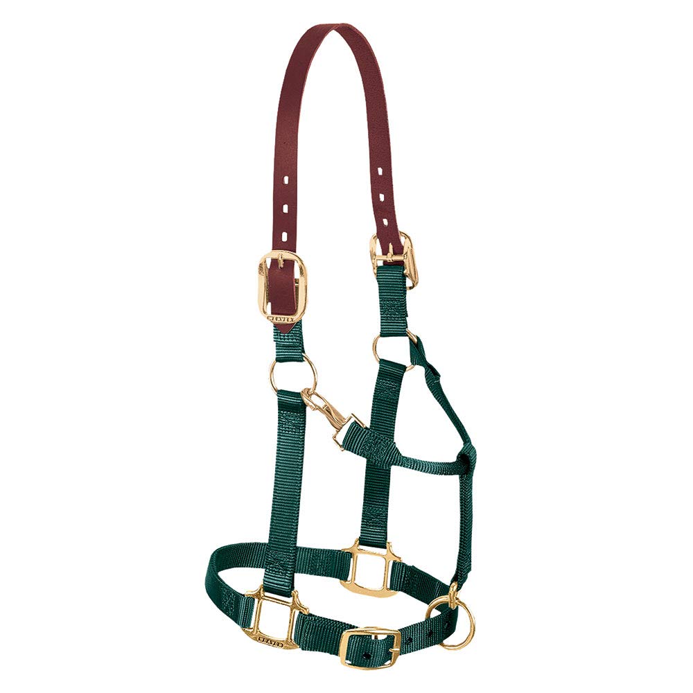 Weaver Equine Breakaway Horse Halter, Supple Leather Crown, Adjustable Brass Throat Snap Halters for Horses, Equine Tack