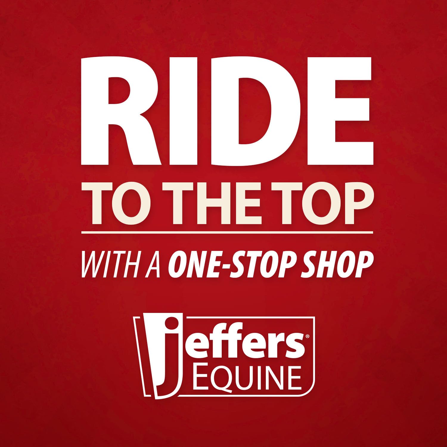 Jeffers Equine Horse Bits, Durable Training Horse Tack, Western Riding Equipment, Equestrian Accessories