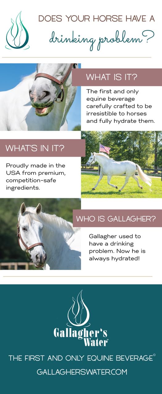 GALLAGHER'S WATER 2 Pack All-Natural Equine Hydration Treat - Enhancement Powder Mix Horse Drink Treat to Help Encourage to Drink Water - Made with All Natural Ingredients, FEI Compliant