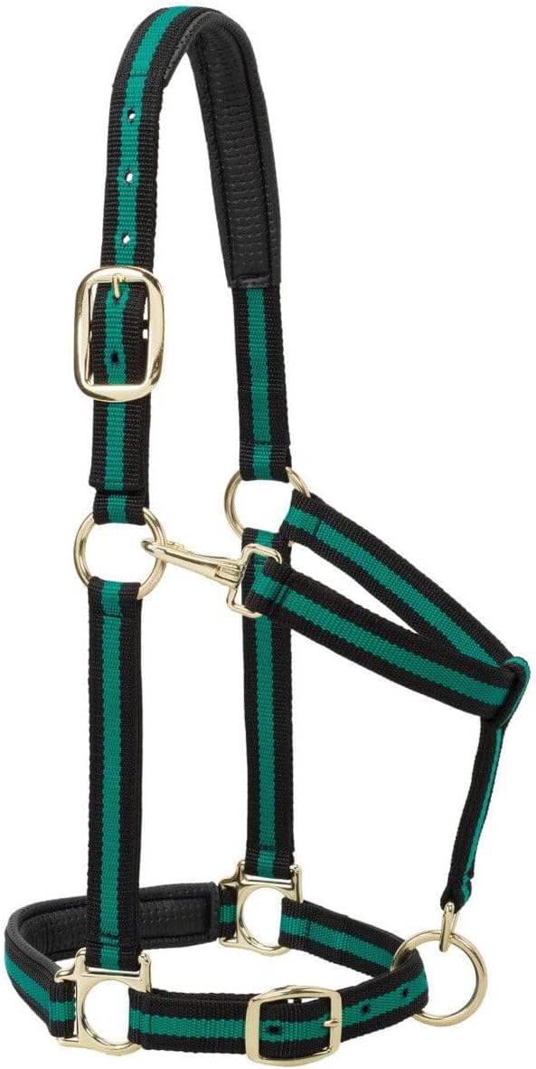 Cabestro para caballo de nailon Weaver Leather, acolchado y ajustable, con mosquetón en la barbilla y la garganta para caballos, cabestros con revestimiento de latón para entrenamiento