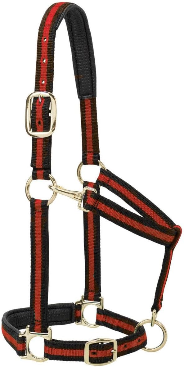 Cabestro para caballo de nailon Weaver Leather, acolchado y ajustable, con mosquetón en la barbilla y la garganta para caballos, cabestros con revestimiento de latón para entrenamiento