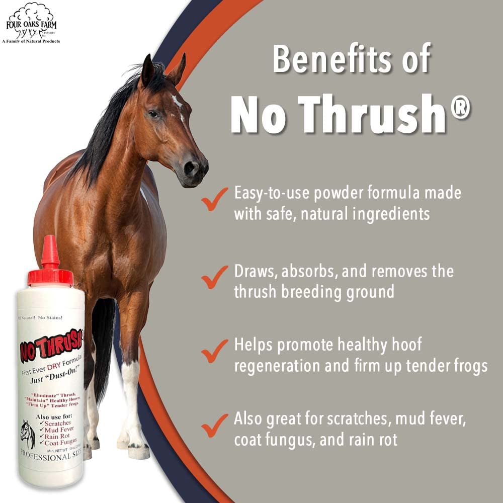Four Oaks Farm Ventures, No Thrush Dry Powder Treatment for Horses - Wound Care, Scratches, Rain Rot, Mud Fever, Coat Issues - All Natural Ingredients, Non-caustic, Easy to Use Powder Formula (2.5 oz)
