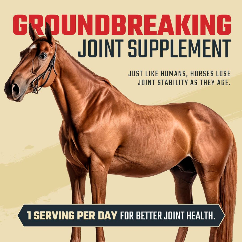Suplemento articular equino de máxima potencia 8 en 1 Daybreak Nutrition - Suplemento articular para caballos - Glucosamina, MSM, condroitina, cúrcuma, ácido hialurónico, manganeso y boswellia - 964g (30 porciones)
