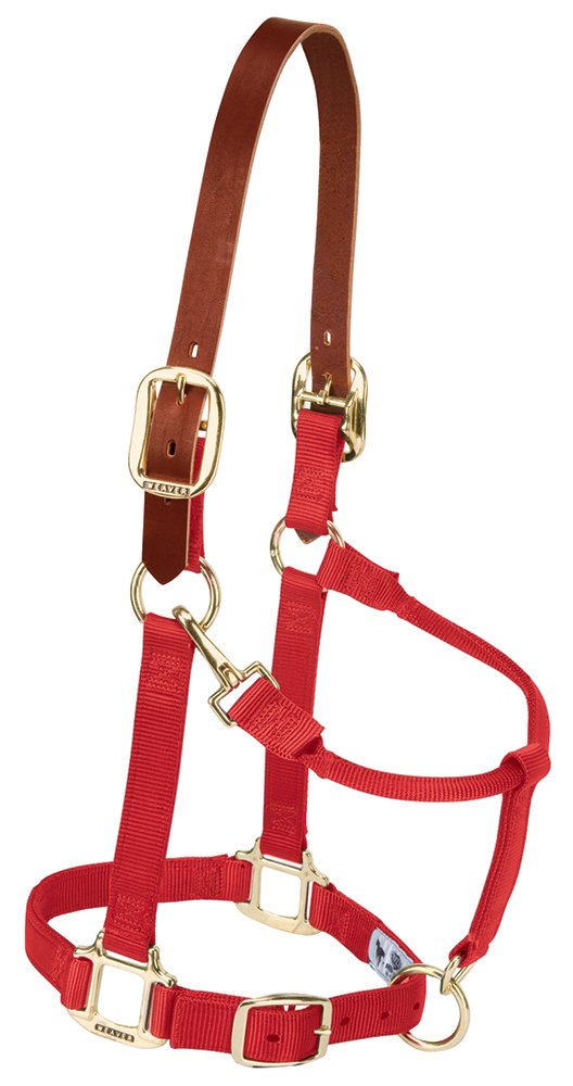 Weaver Equine Breakaway Horse Halter, Supple Leather Crown, Adjustable Brass Throat Snap Halters for Horses, Equine Tack