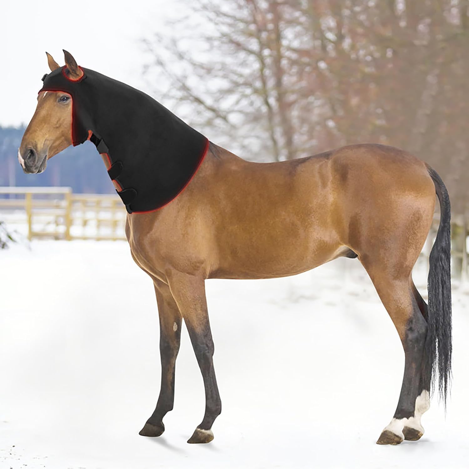 Wearable Red Light Therapy for Horses Head, Pain Relief Tissue Repair Muscle Infrared Light Therapy Device, Horse Head Injuries Recovery Fracture Healing