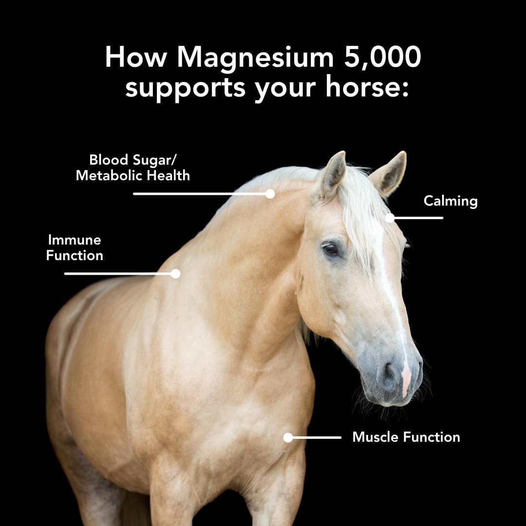 Magnesium 5000 (20lb) Calming/Metabolism/Muscle Function Support for Horses