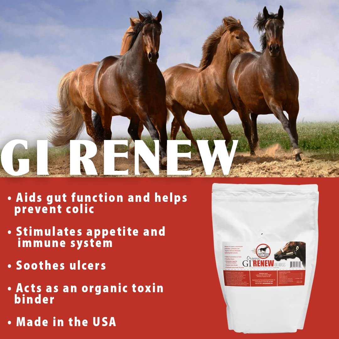 Pennwoods Equine Products GI Renew - 2 LBS | Digestión | Estimulante inmune | Suplemento para caballos | Estimulante del apetito | Probiótico | Prebiótico | Enzimas digestivas | Beta Glucanos |