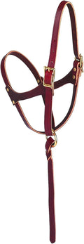 Cabestro para potros Weaver Leather de figura 8, color rojizo, 1,6 cm