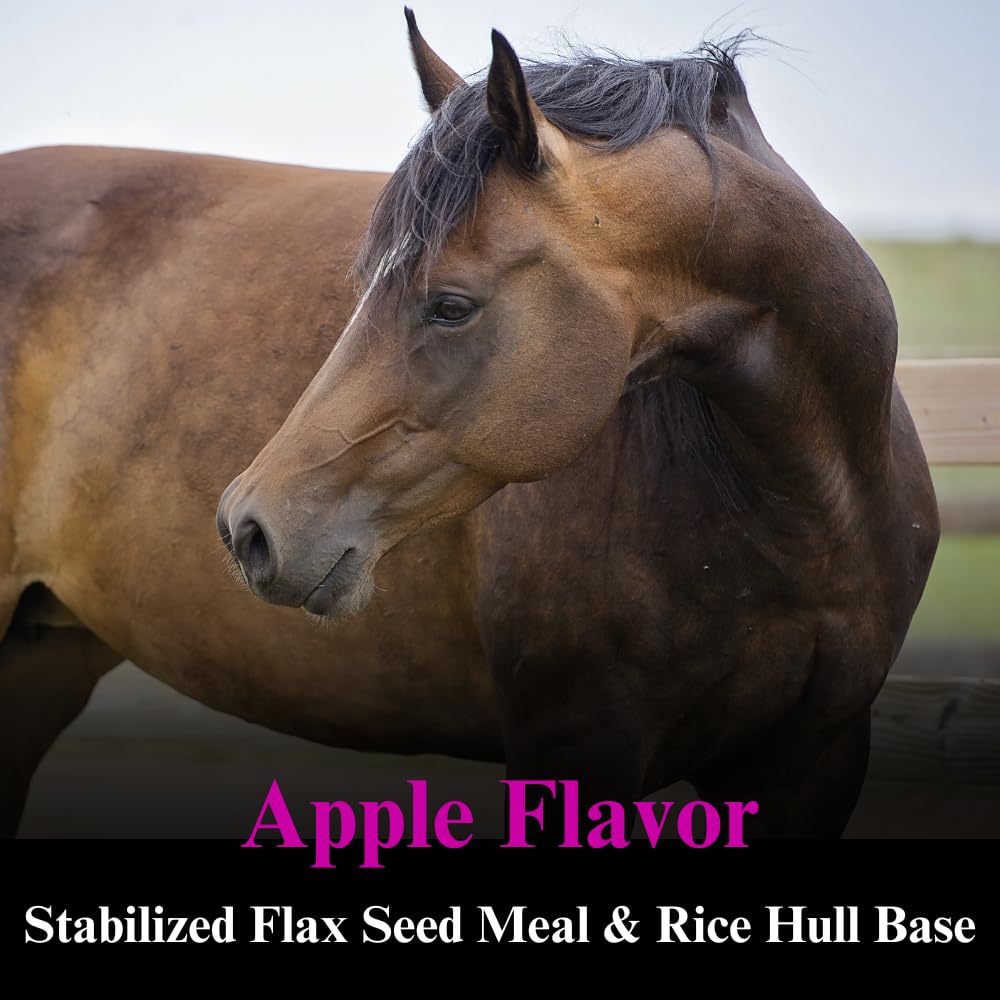 SU-PER B-15 Vitamin Supplement for Horses - Equine Vitamin B-15 Powder for Performance Support - 12.5 Pounds, 6 Month Supply