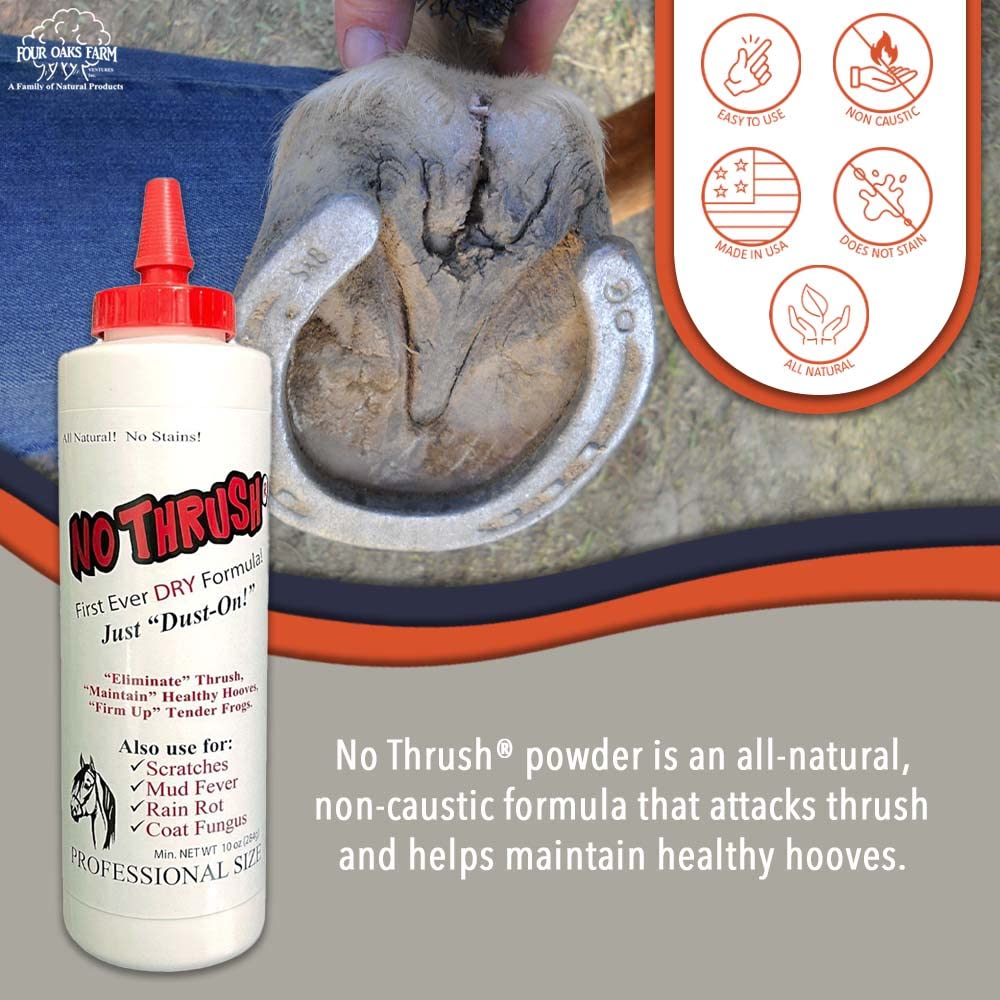 Four Oaks Farm Ventures, No Thrush Dry Powder Treatment for Horses - Wound Care, Scratches, Rain Rot, Mud Fever, Coat Issues - All Natural Ingredients, Non-caustic, Easy to Use Powder Formula (2.5 oz)
