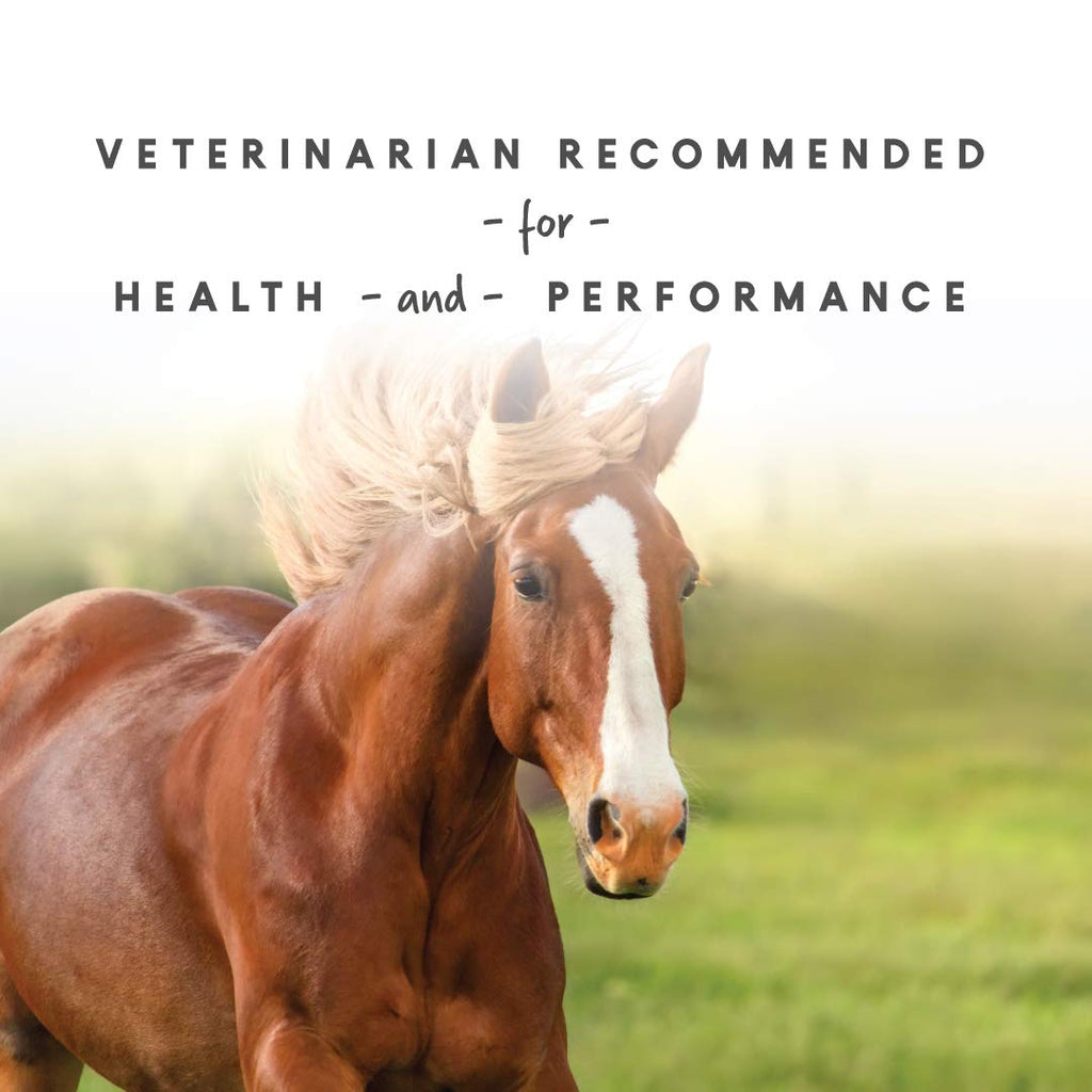 Manna Pro Sho-Glo Supplement for Horses | Complete Vitamin & Mineral Supplement for Healthy Skin & Coat | 5 Pounds