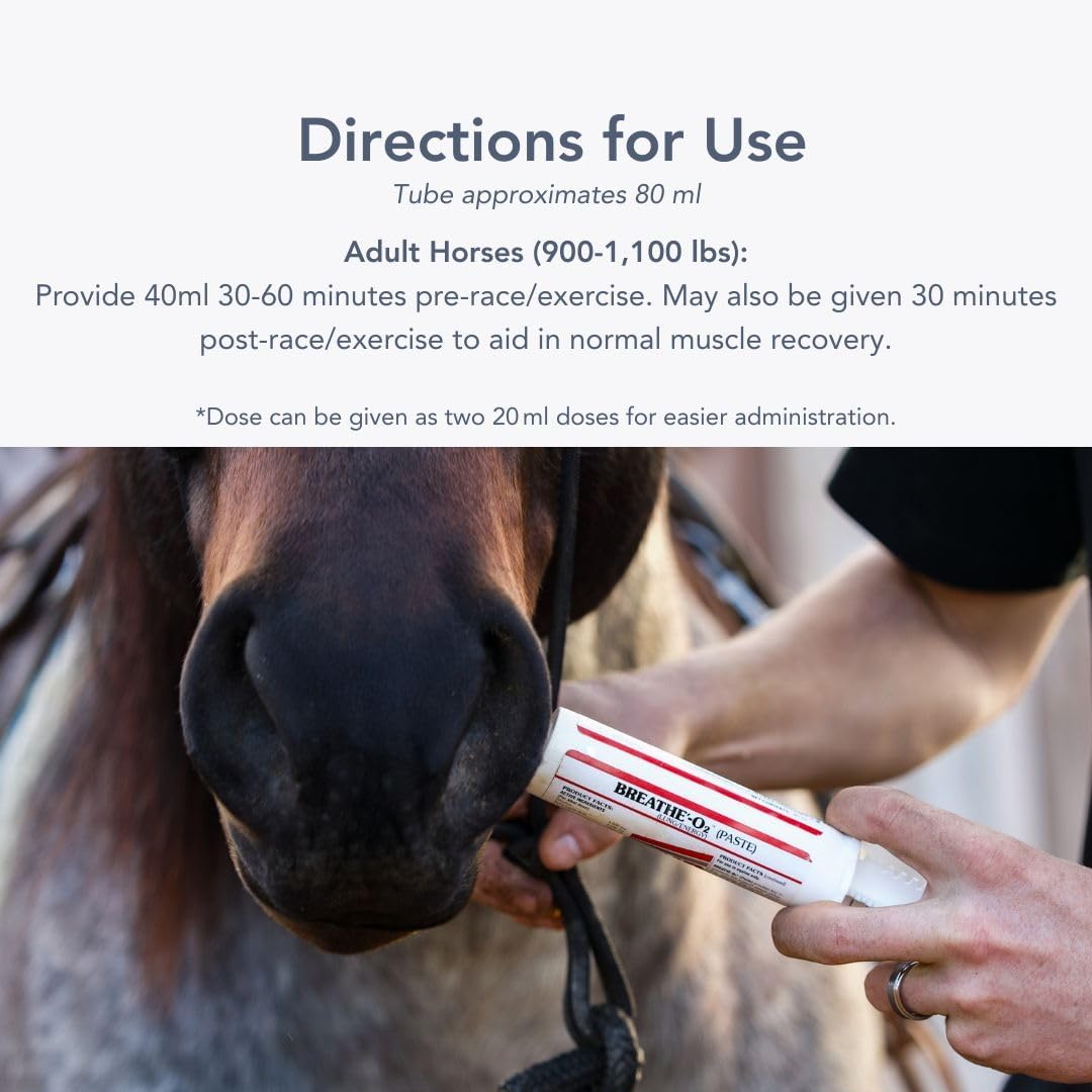 MVP Breathe O'2 Paste (2 doses) Pre-Race Paste to Support Lung/Airway Function & Recovery in Horses