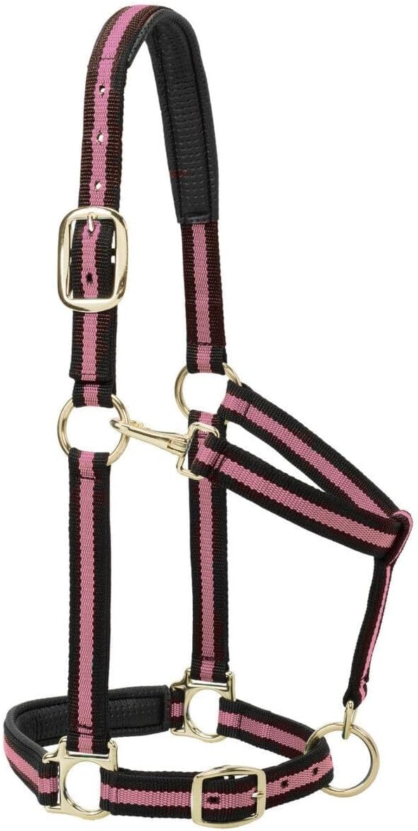 Cabestro para caballo de nailon Weaver Leather, acolchado y ajustable, con mosquetón en la barbilla y la garganta para caballos, cabestros con revestimiento de latón para entrenamiento