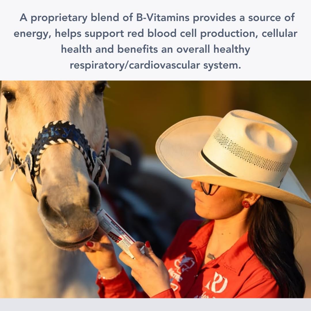 MVP Breathe O'2 Paste (2 doses) Pre-Race Paste to Support Lung/Airway Function & Recovery in Horses