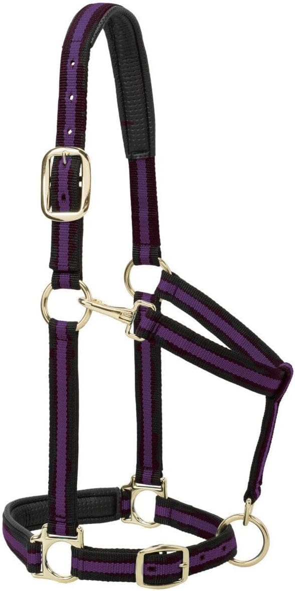 Cabestro para caballo de nailon Weaver Leather, acolchado y ajustable, con mosquetón en la barbilla y la garganta para caballos, cabestros con revestimiento de latón para entrenamiento