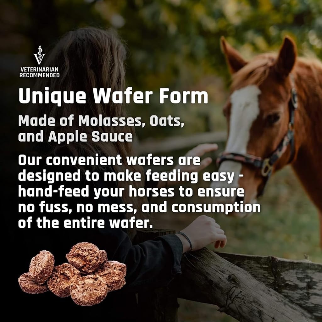 Flex XT Wafers de Majesty - Soporte articular superior para caballos/equinos con niveles elevados de suplementos - Glucosamina, MSM, Yucca, Vitamina C - 30 unidades (suministro para 1 mes)