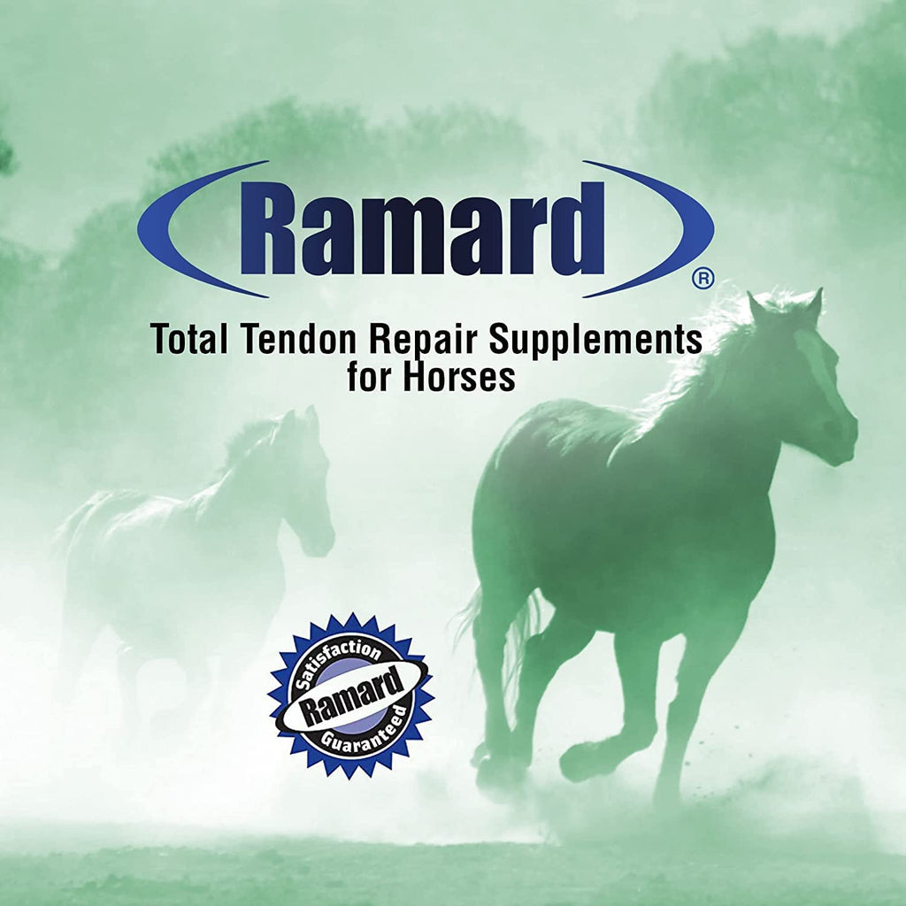 Ramard Total Tendon Repair – Suplemento en polvo avanzado con vitamina C, colágeno y MSM para el soporte de articulaciones, ligamentos y tendones equinos - Suplementos para la elasticidad y la fuerza - Suministro para 90 días