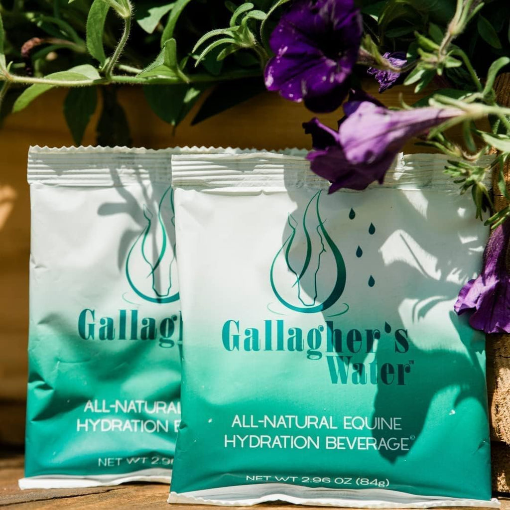 GALLAGHER'S WATER Paquete de 2, Golosina de Hidratación Equina Totalmente Natural - Mezcla de Polvo Potenciador, Golosina para Caballos para Fomentar el Consumo de Agua - Hecha con Ingredientes Totalmente Naturales, Conforme a la FEI