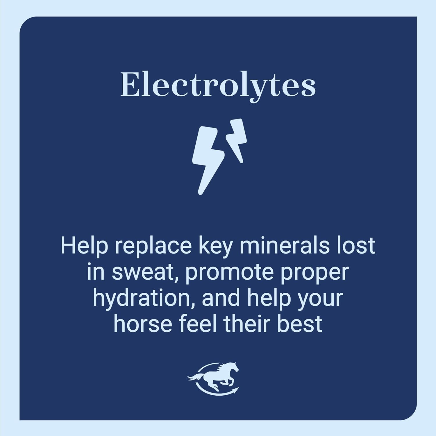 SmartLytes Horse Electrolyte Powder Supplement | Encourages Hydration, Replenishes Electrolytes | No Added Sugar | Cherry Flavor | 56 Servings | 3.7 lb Bucket