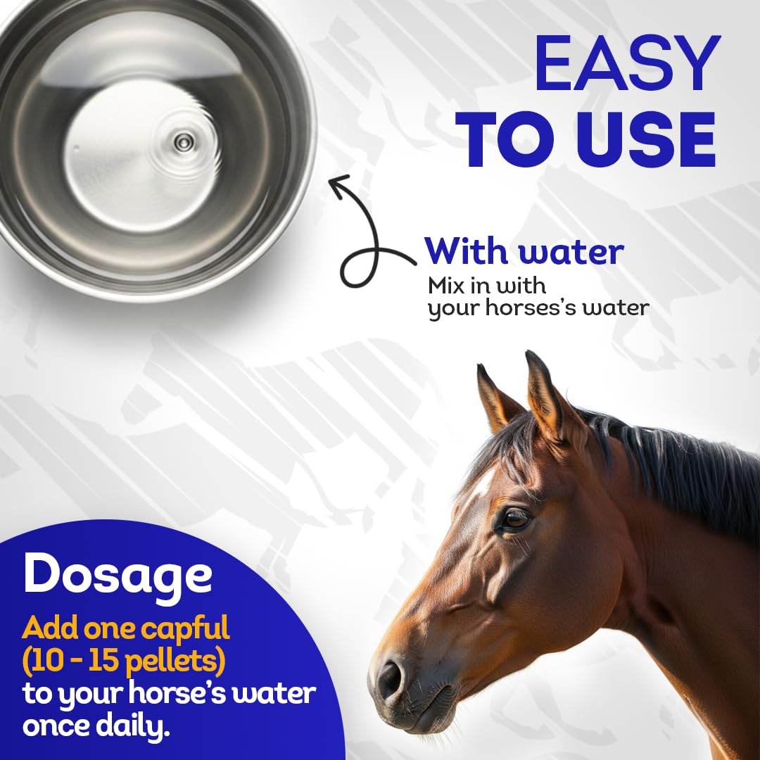 HA4E - Horse Respiratory Issues Support - Helps Prevent Heaves, Allergies & Infections – Highly Effective, Natural Homeopathic Supplement - 300 Tablets