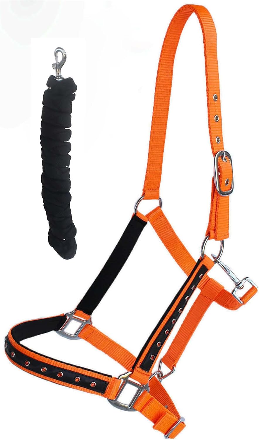 Pro Rider Nylon Horse Halter Hardware Padded Lead Rope Tack Orange Rodeo Bling 606162OR