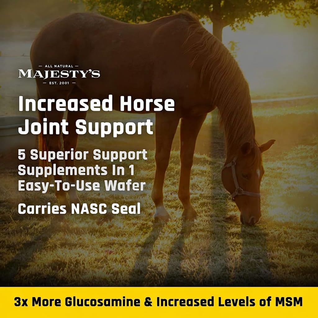 Flex XT Wafers de Majesty - Soporte articular superior para caballos/equinos con niveles elevados de suplementos - Glucosamina, MSM, Yucca, Vitamina C - 30 unidades (suministro para 1 mes)