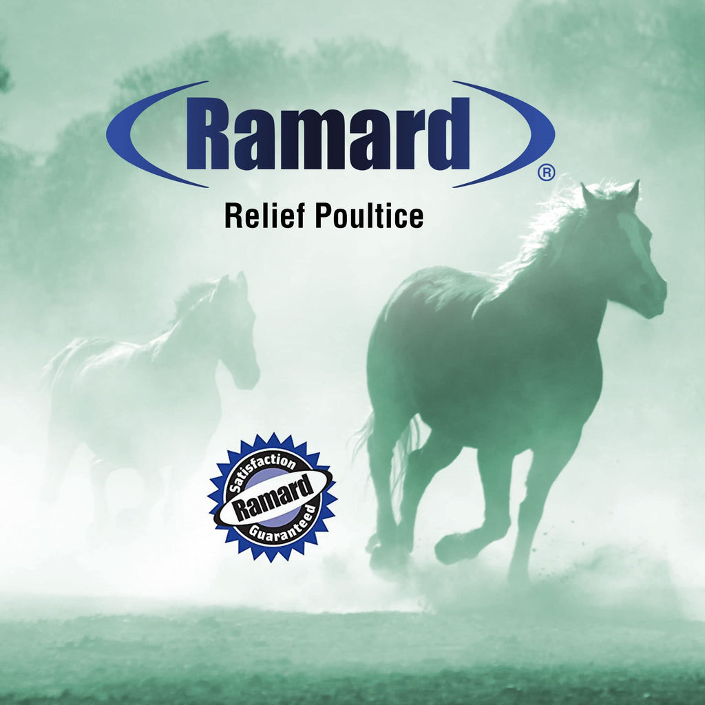 Ramard Relief Poultice for Horses -Veterinary Liniment Gel for Horse Muscle, Joint, Tendon & Ligament Care -Equine Poultice Leg Wraps, Gentle Liniment Bentonite Clay, Arnica, Calendula, & MSM 5lbs Tub