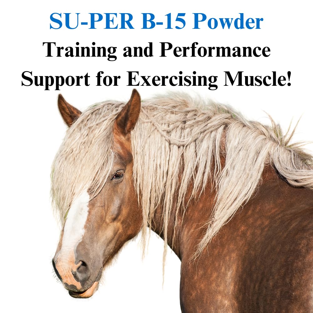 SU-PER B-15 Vitamin Supplement for Horses - Equine Vitamin B-15 Powder for Performance Support - 12.5 Pounds, 6 Month Supply