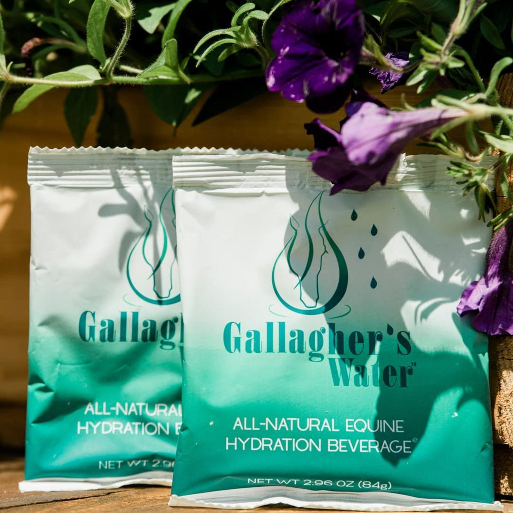 GALLAGHER'S WATER Paquete de 2, Golosina de Hidratación Equina Totalmente Natural - Mezcla de Polvo Potenciador, Golosina para Caballos para Fomentar el Consumo de Agua - Hecha con Ingredientes Totalmente Naturales, Conforme a la FEI