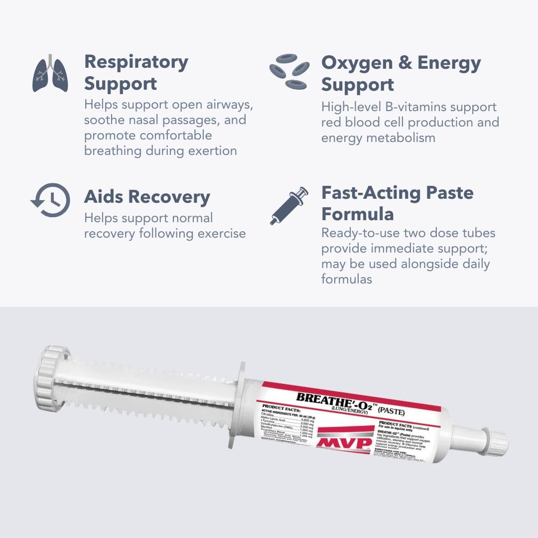 MVP Breathe O'2 Paste (2 doses) Pre-Race Paste to Support Lung/Airway Function & Recovery in Horses