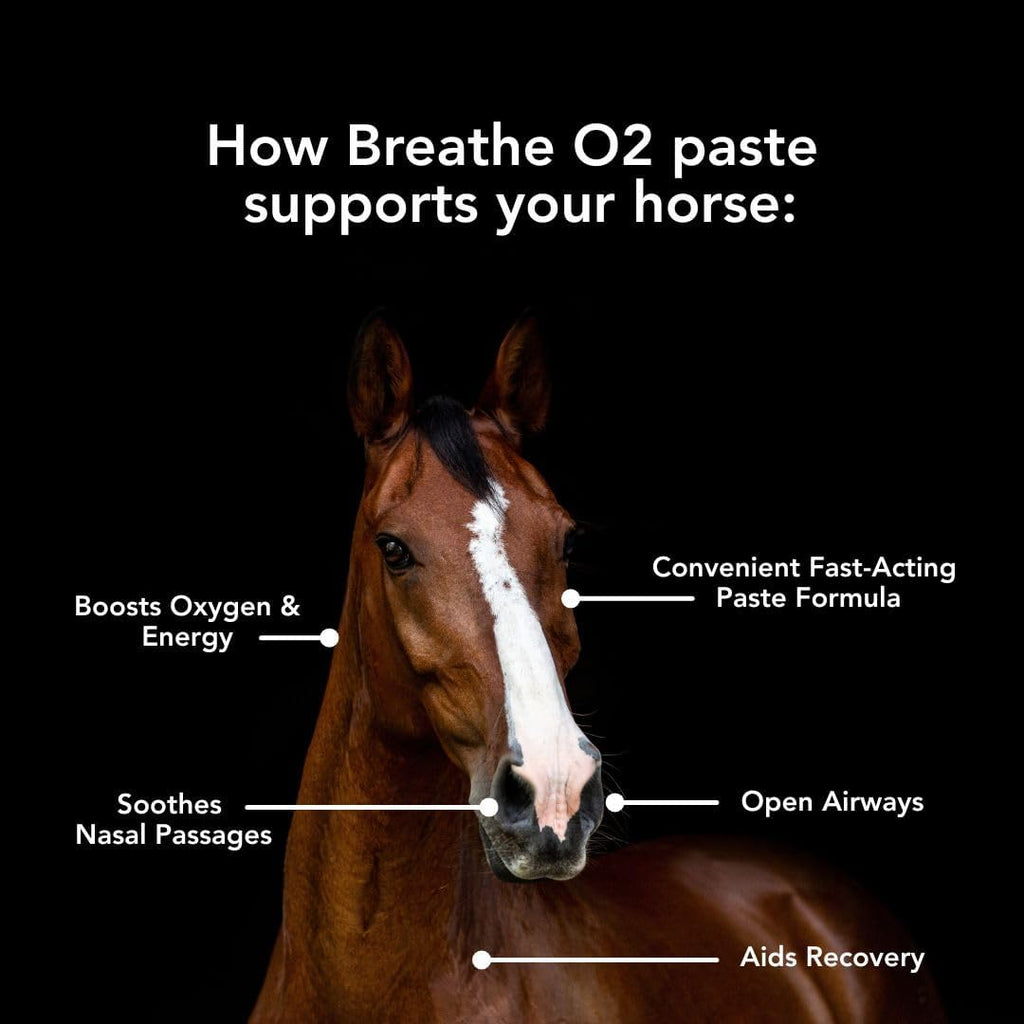 MVP Breathe O'2 Pasta (2 dosis) Pasta pre-carrera para apoyar la función pulmonar/respiratoria y la recuperación en caballos