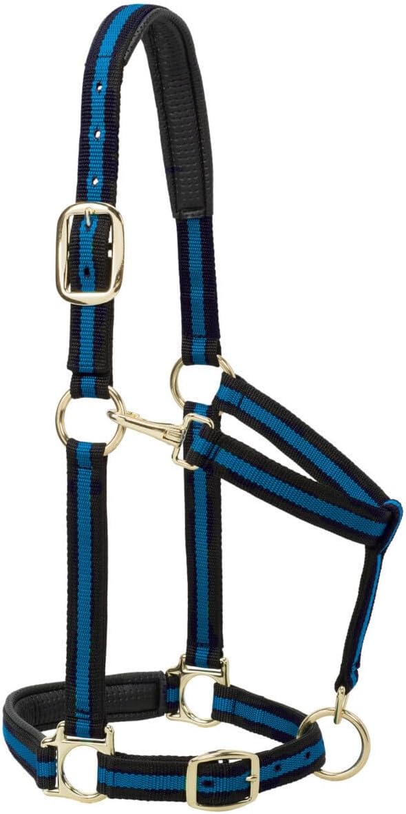 Cabestro para caballo de nailon Weaver Leather, acolchado y ajustable, con mosquetón en la barbilla y la garganta para caballos, cabestros con revestimiento de latón para entrenamiento