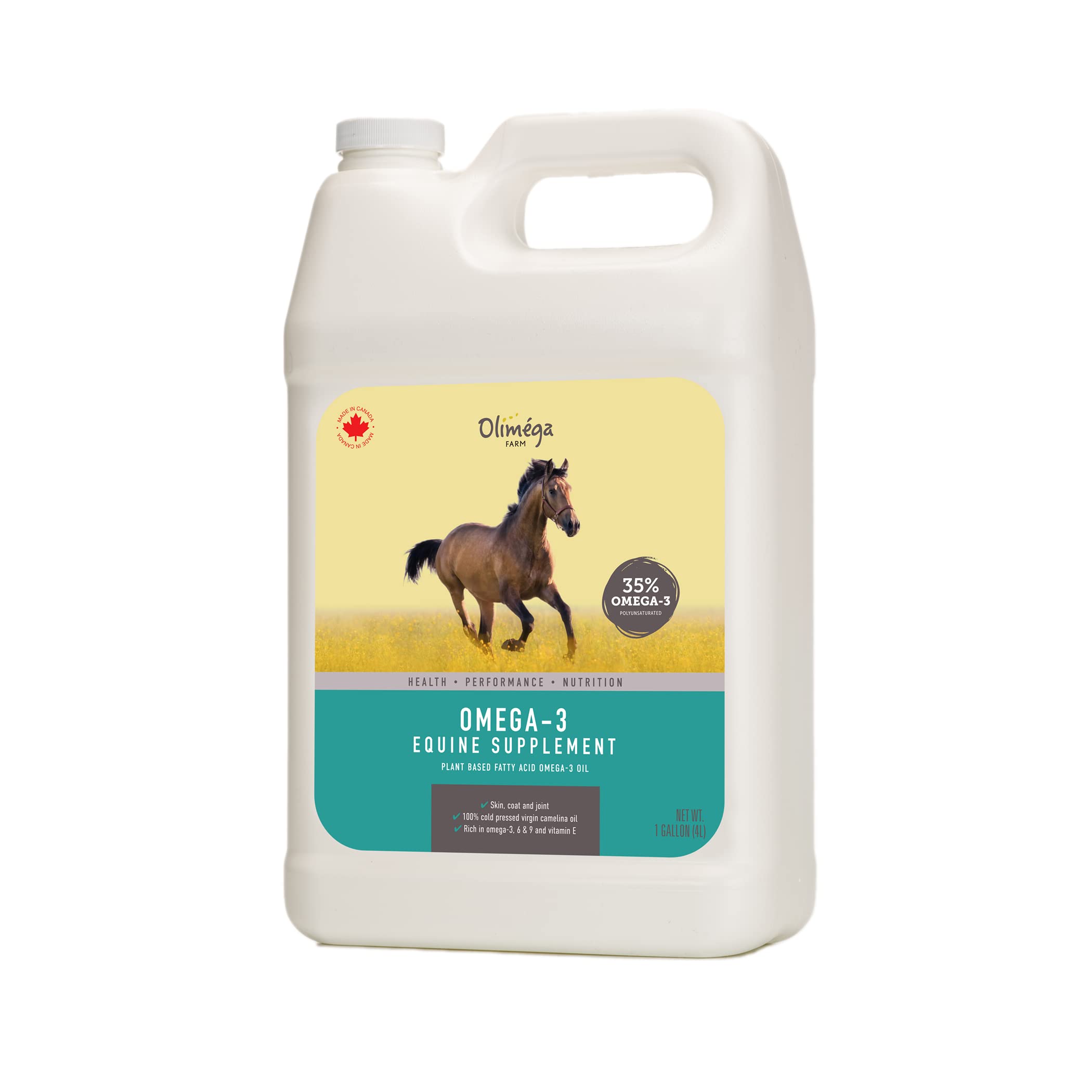 Camelina Oil for Horses, 1 Gallon by Olimega Farm | High in Omega-3 & Vitamin E | Support for Healthy Joints, Coat & Skin | Pure & Cold Pressed | Joint Supplement | Made in Canada | Non-GMO