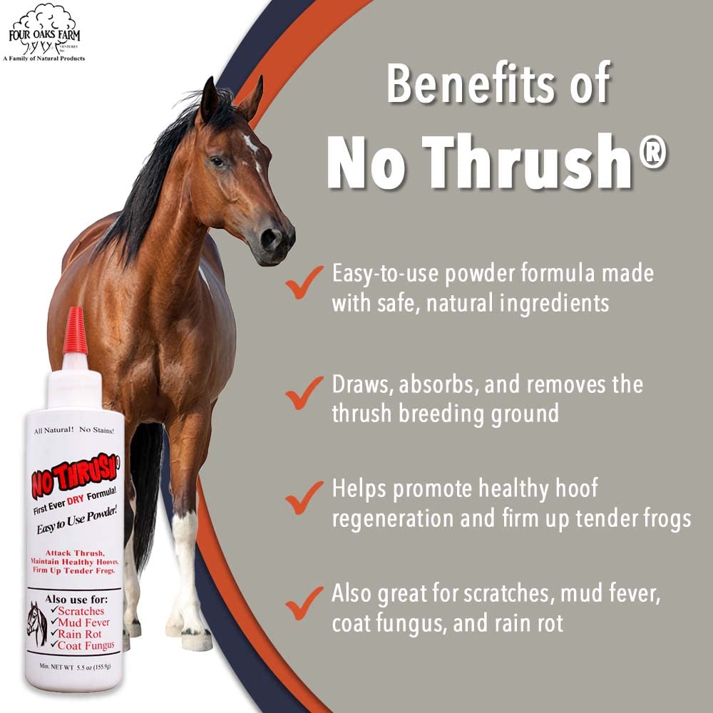 Four Oaks Farm Ventures, No Thrush Dry Powder Treatment for Horses - Wound Care, Scratches, Rain Rot, Mud Fever, Coat Issues - All Natural Ingredients, Non-caustic, Easy to Use Powder Formula (2.5 oz)
