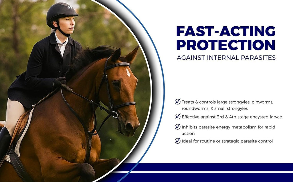 Pasta para caballos al 10% – Jeringas de 25 g – Pasta desparasitante oral para caballos de todas las edades – Cuidado equino fácil de administrar (Paquete de 6)