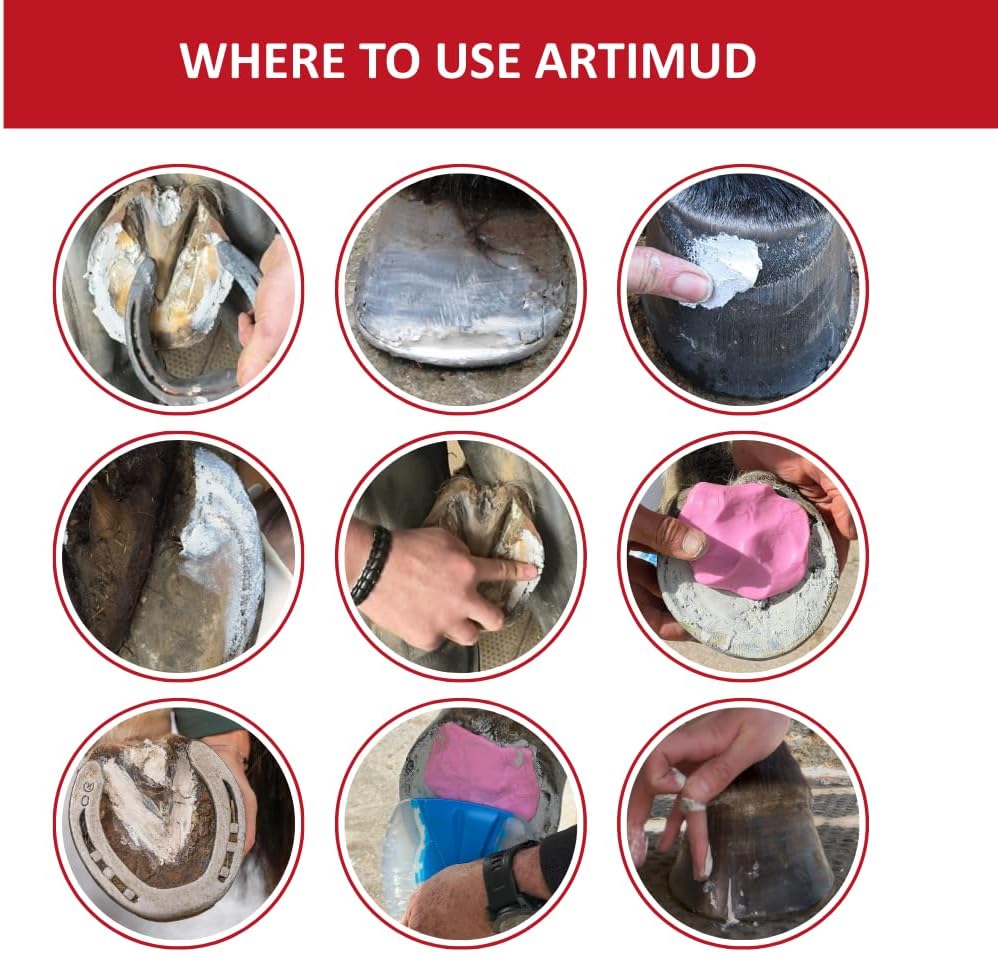 Artimud - Horse Hoof Putty Thrush Treatment 10 oz (300g) | Eucalyptus Horse Hoof Clay | Equine Frog & Sole Protection | Red Horse Products | Natural Hoof Mud | Non-caustic | All Equines