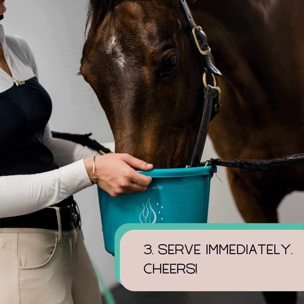 GALLAGHER'S WATER Paquete de 2, Golosina de Hidratación Equina Totalmente Natural - Mezcla de Polvo Potenciador, Golosina para Caballos para Fomentar el Consumo de Agua - Hecha con Ingredientes Totalmente Naturales, Conforme a la FEI