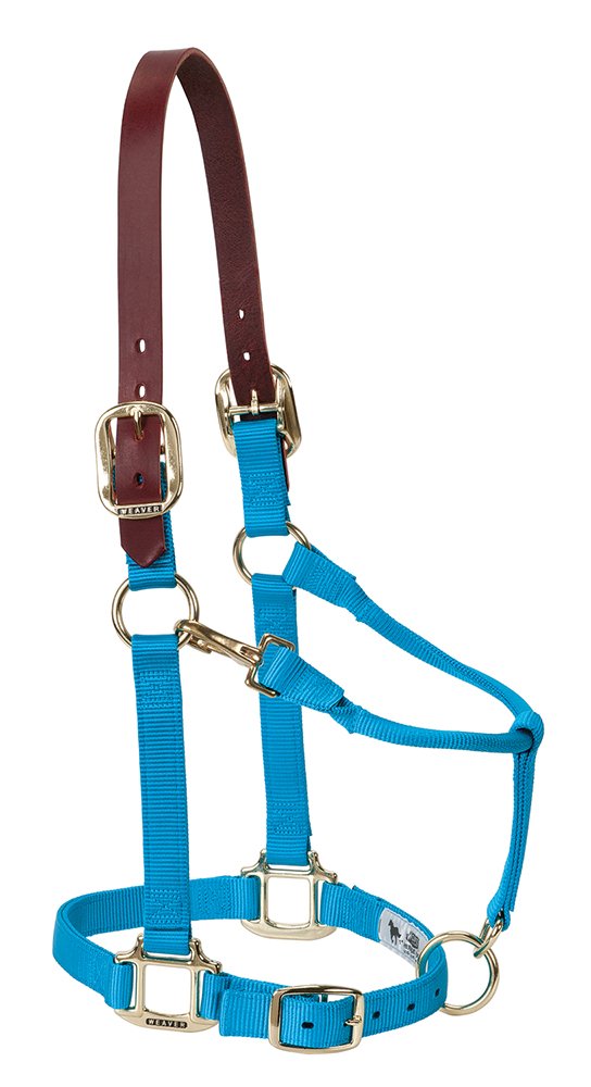 Weaver Equine Breakaway Horse Halter, Supple Leather Crown, Adjustable Brass Throat Snap Halters for Horses, Equine Tack