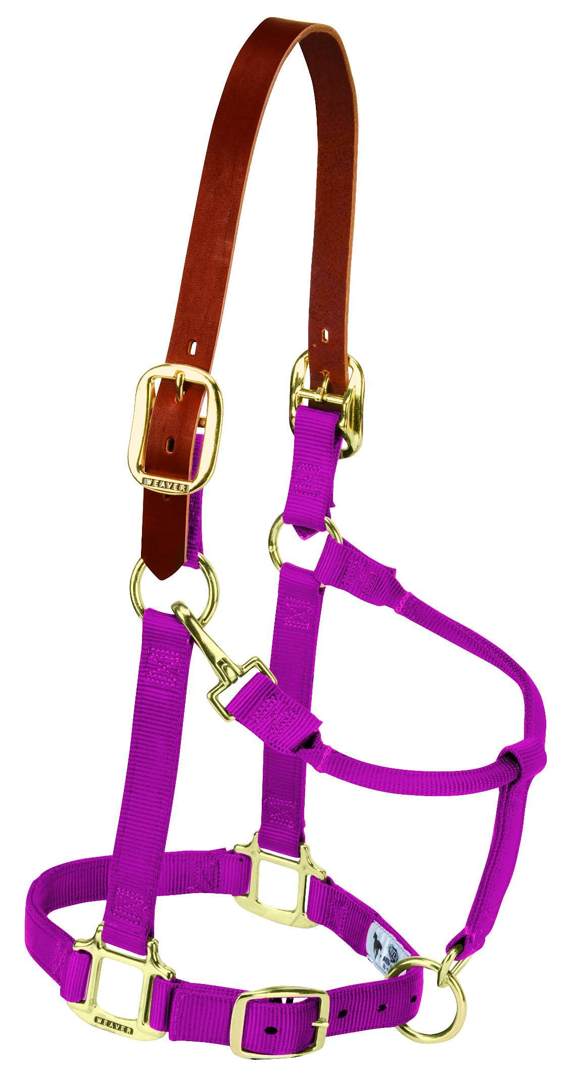 Weaver Equine Breakaway Horse Halter, Supple Leather Crown, Adjustable Brass Throat Snap Halters for Horses, Equine Tack