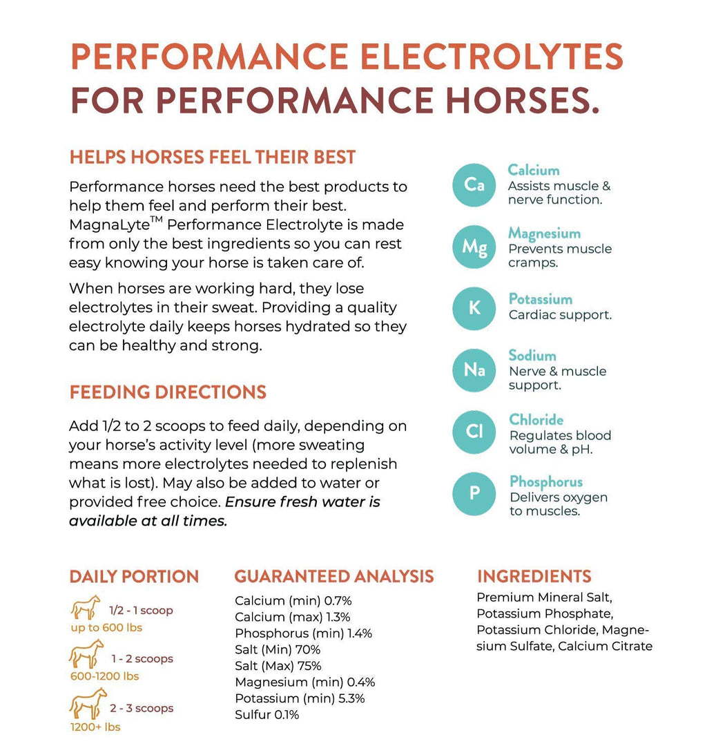 MagnaLyte Sal Suelta y Electrolitos para Caballos de Eagle Equine | Sal Marina Mineral, Oligoelementos, Electrolitos | Bolsa de 4 lb